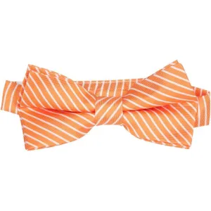 BT-2  Orange and White Stripes