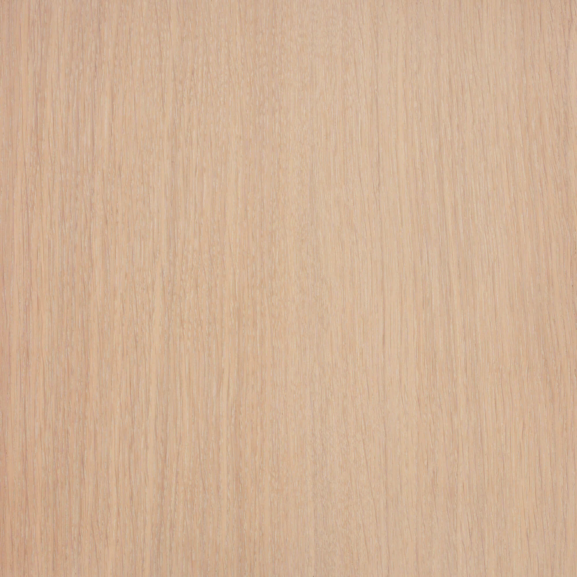 Product image 121